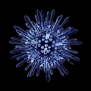 Adneovirus